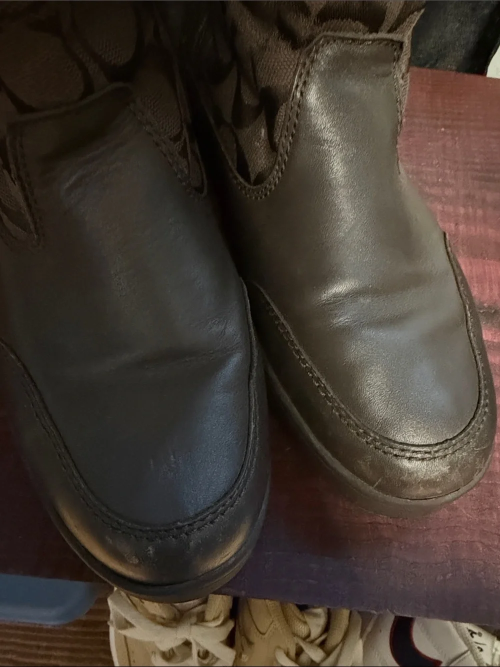 Coach boots